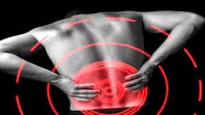 My Back Pain Coach Review